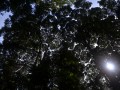 Tn 0210 DSC 5515